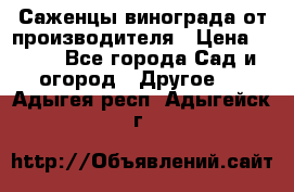 Саженцы винограда от производителя › Цена ­ 800 - Все города Сад и огород » Другое   . Адыгея респ.,Адыгейск г.